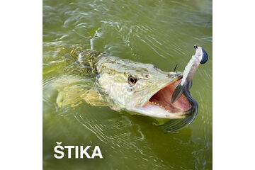 VŠETKO NA ŠŤUKY