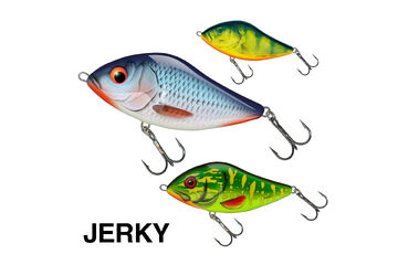Jerky SALMO