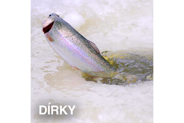 VŠETKO NA DIERKY
