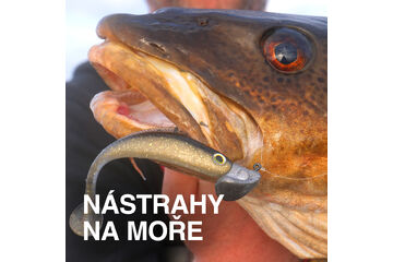 Nástrahy na more