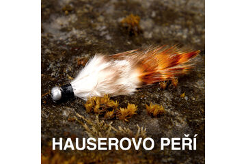 Hauserovo perie